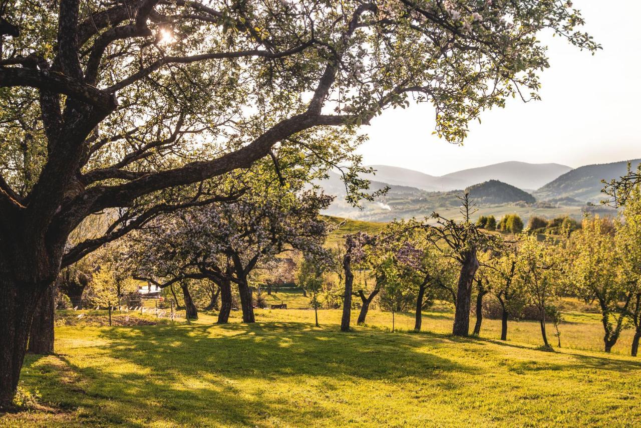 Blizej Nieba Skrzydlna Exterior foto