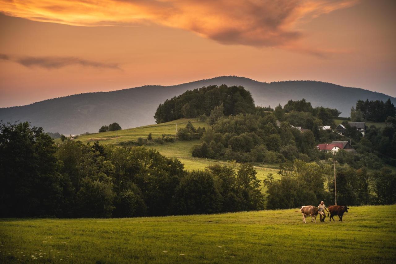 Blizej Nieba Skrzydlna Exterior foto